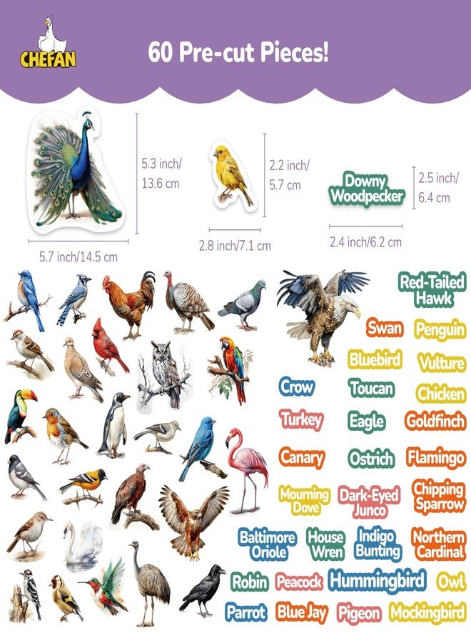 CHEFAN Felt Birds Felt Board Pieces, Precut Flannel Board Pieces with Words Flannel Pieces, Felt Figures Sets Flannel Graph Educational Learning Toys for Kindergarten, Preschool, Toddlers - 60 Pieces - Image 2